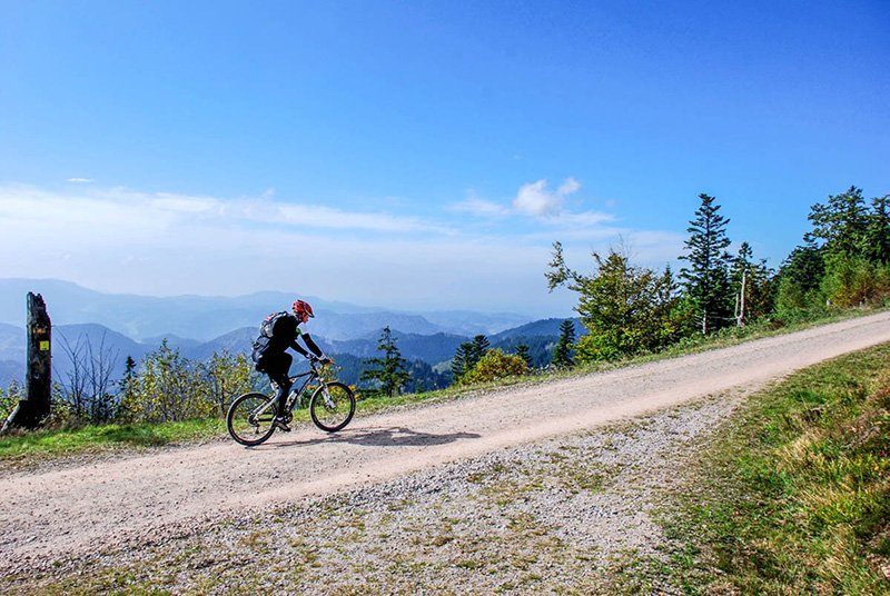 Mountain-Biker im Schwarzwald